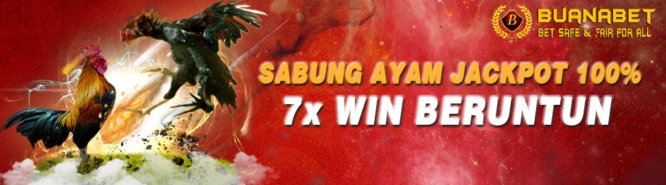 Promo Bonus 100% Win Beruntun Sabung Ayam Online